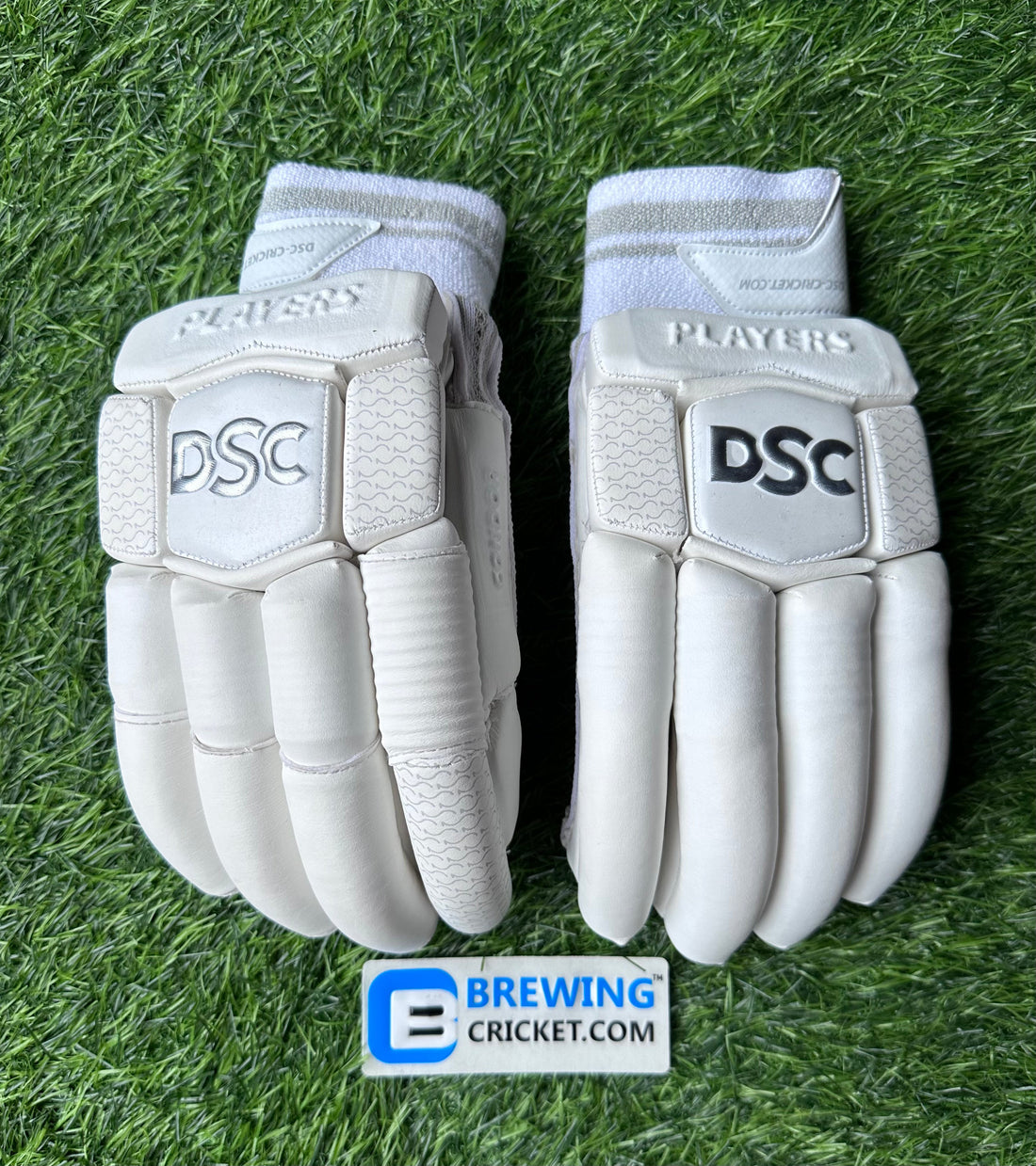 DSC Condor Players - Batting Gloves