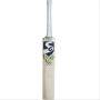SG HP ICON English Willow Cricket Bat
