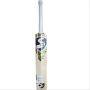 SG HP ICON English Willow Cricket Bat