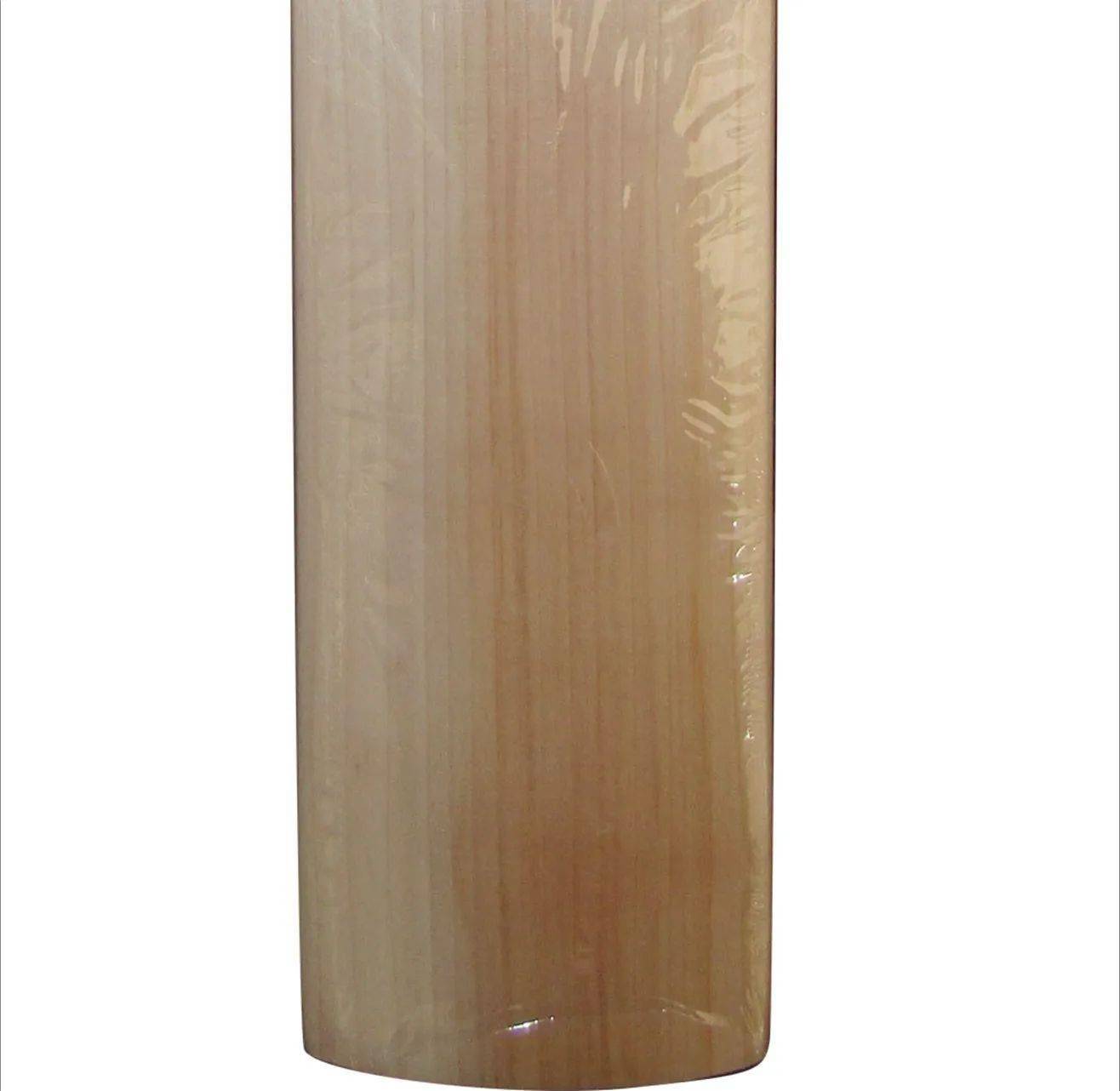 SG Sunny Tonny Arc 2.0 English WIllow Cricket Bat