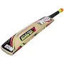 BDM Club Master Kashmir Willow Cricket Bat