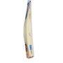 SG HP Flame English Willow Cricket Bat Men (With Sensor)